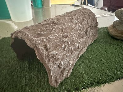 Preloved hides