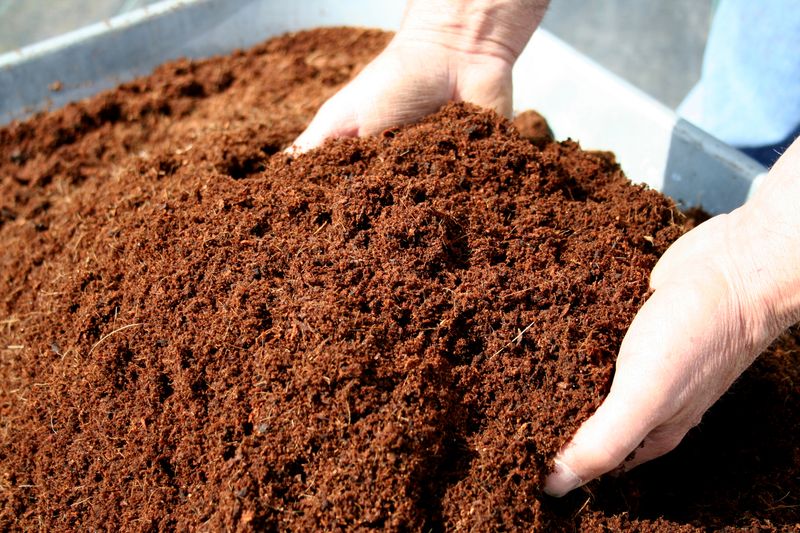 Spider Peat  - 1KG