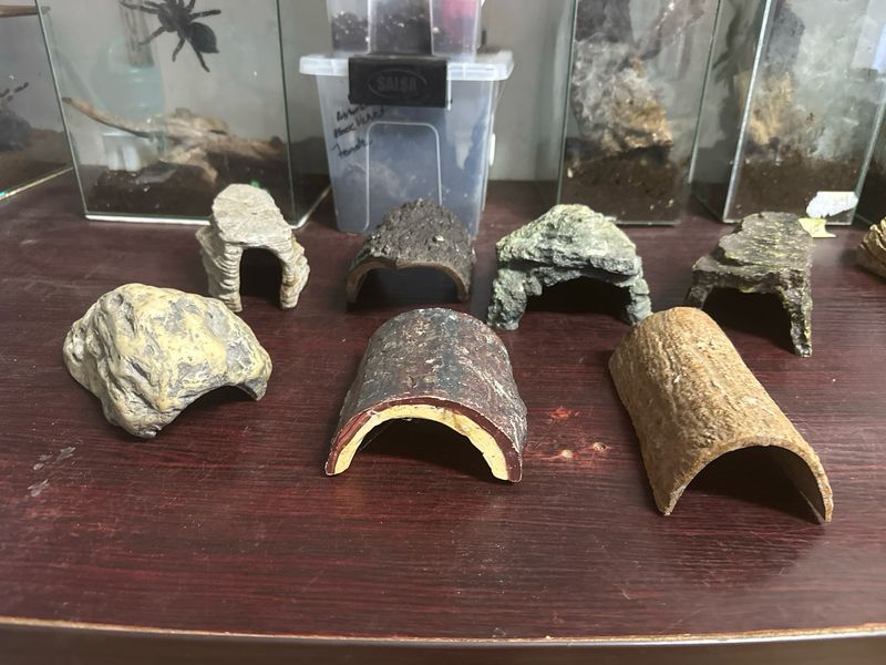 Pre loved Hides