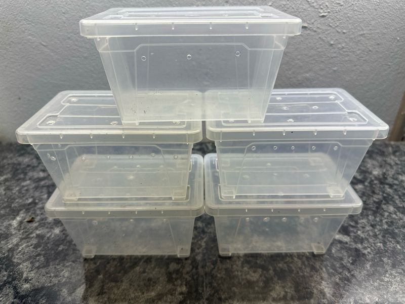 Enclosure for Slings & Small Taratula's Enclosure for Slings & Small Taratula's