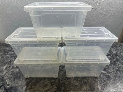 Enclosure for Slings &amp; Small Taratula's