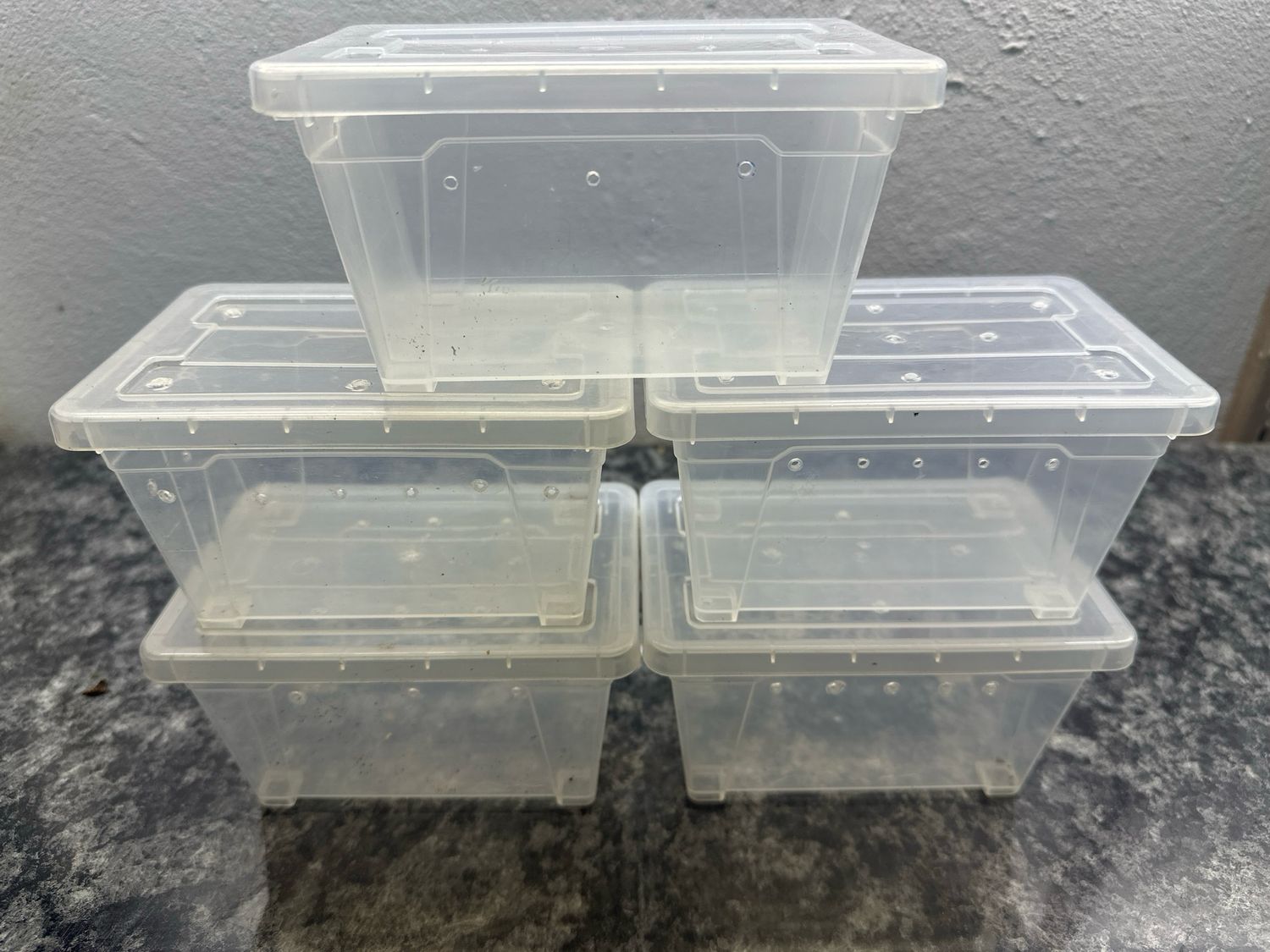 Enclosure for Slings &amp; Small Taratula's