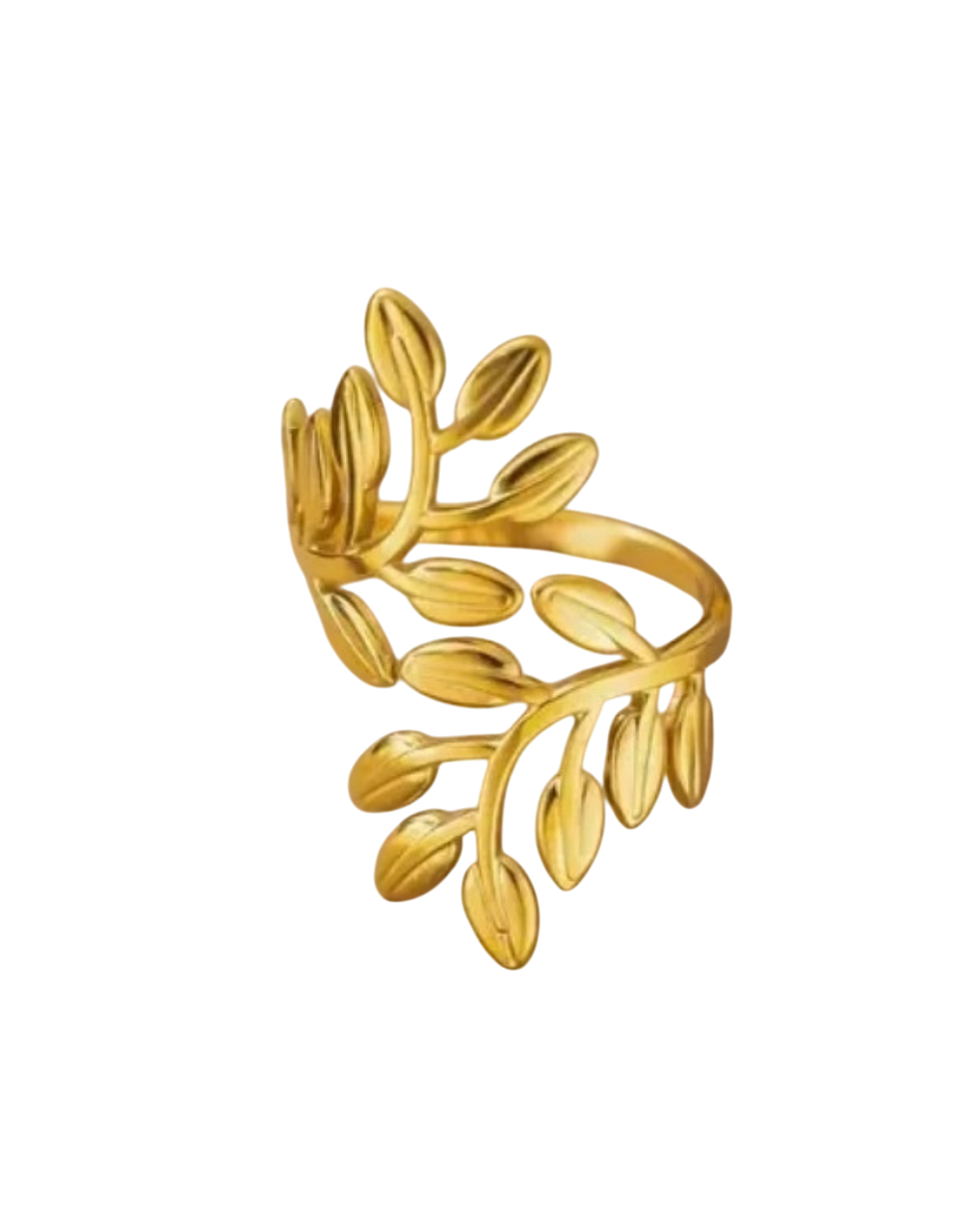 Fashion Rings