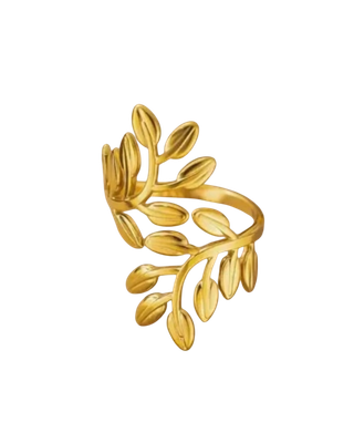 Fashion Rings