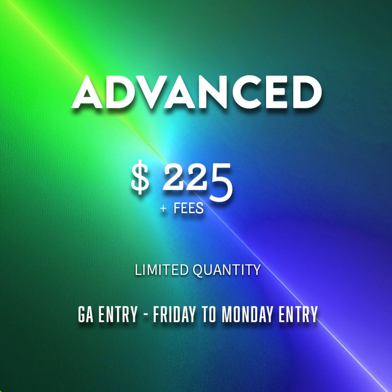 Electric Pines 2025 Weekend Pass - Advanced