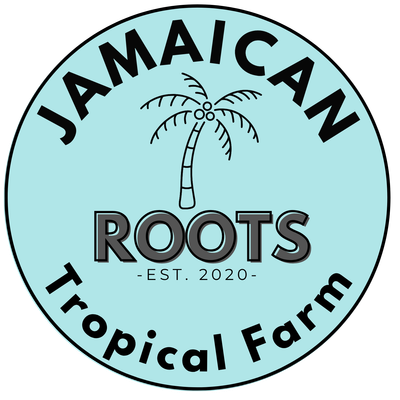 Jamaican Roots Tours