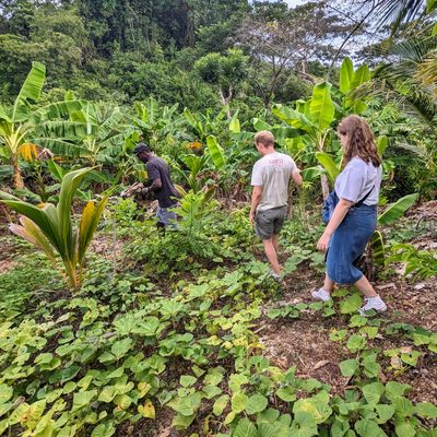 Tropical Farm Tasting Tour