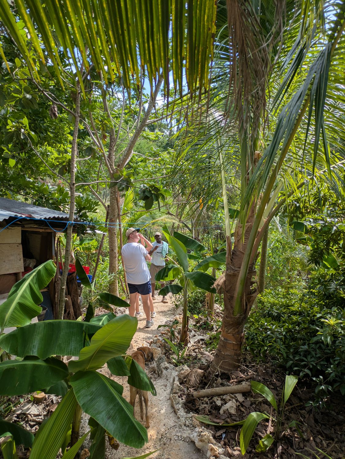 Tropical Farm Tasting Tour