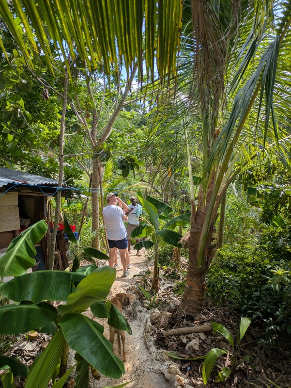 Tropical Farm Tasting Tour