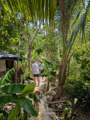 Tropical Farm Tasting Tour
