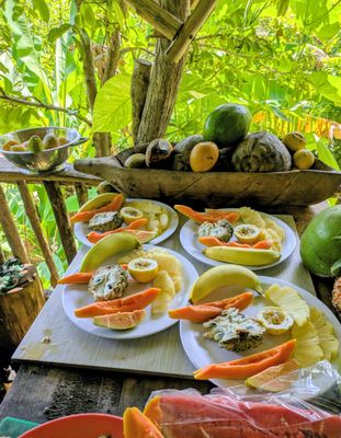 Tropical Farm Tasting Tour