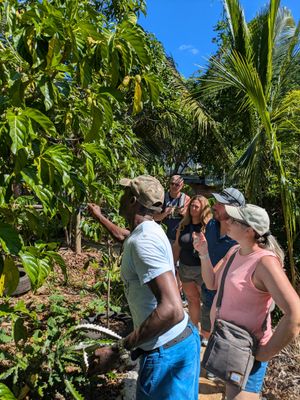 Tasting Tour &amp; Farm-to-Table Dining