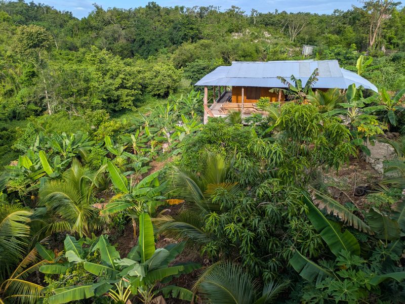 Pre-Pay Your Farm Stay