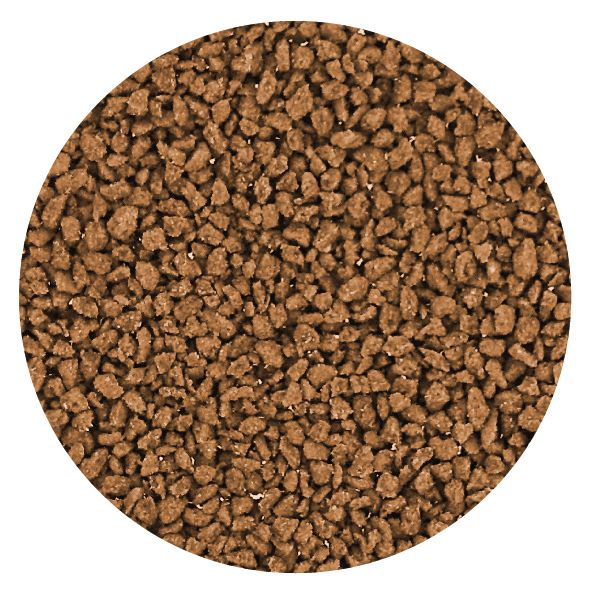 SvD – Extruded Food for Valuable Species - FINE