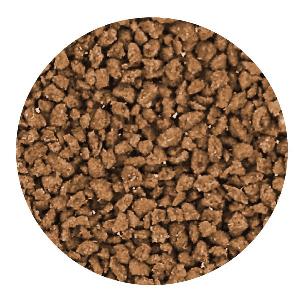 Sv2 Granular food for Medium size fish