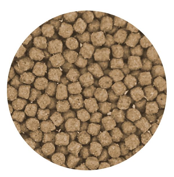 SV - GoldFish​ Wheat Germ Fish Food