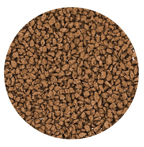 Sv1 Granular food for small fish