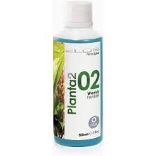 PLANTA 02