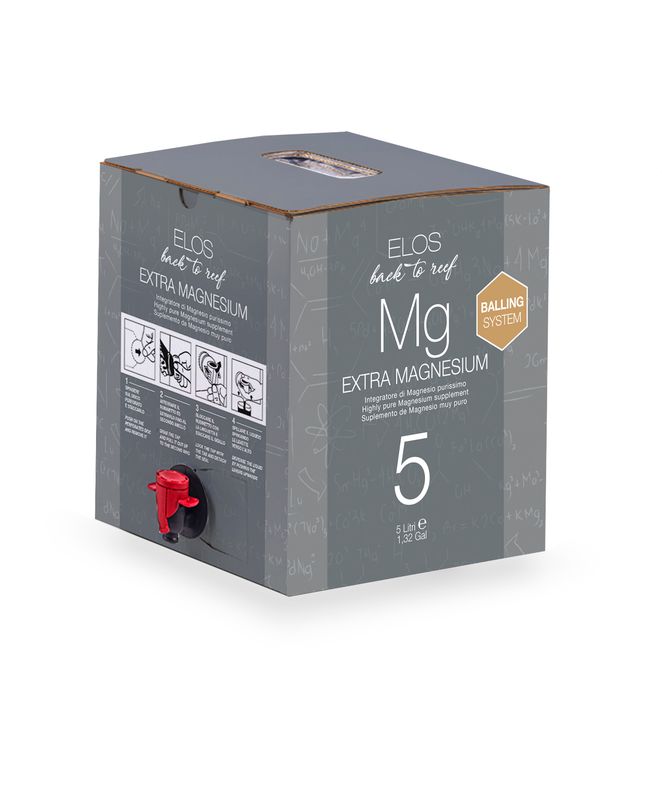 5.MG+