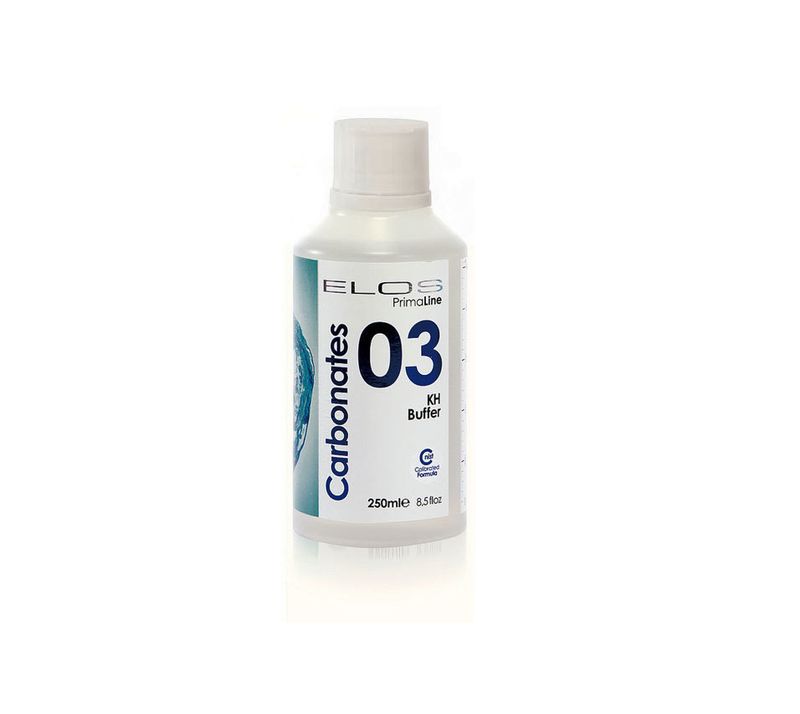 03. Carbonates