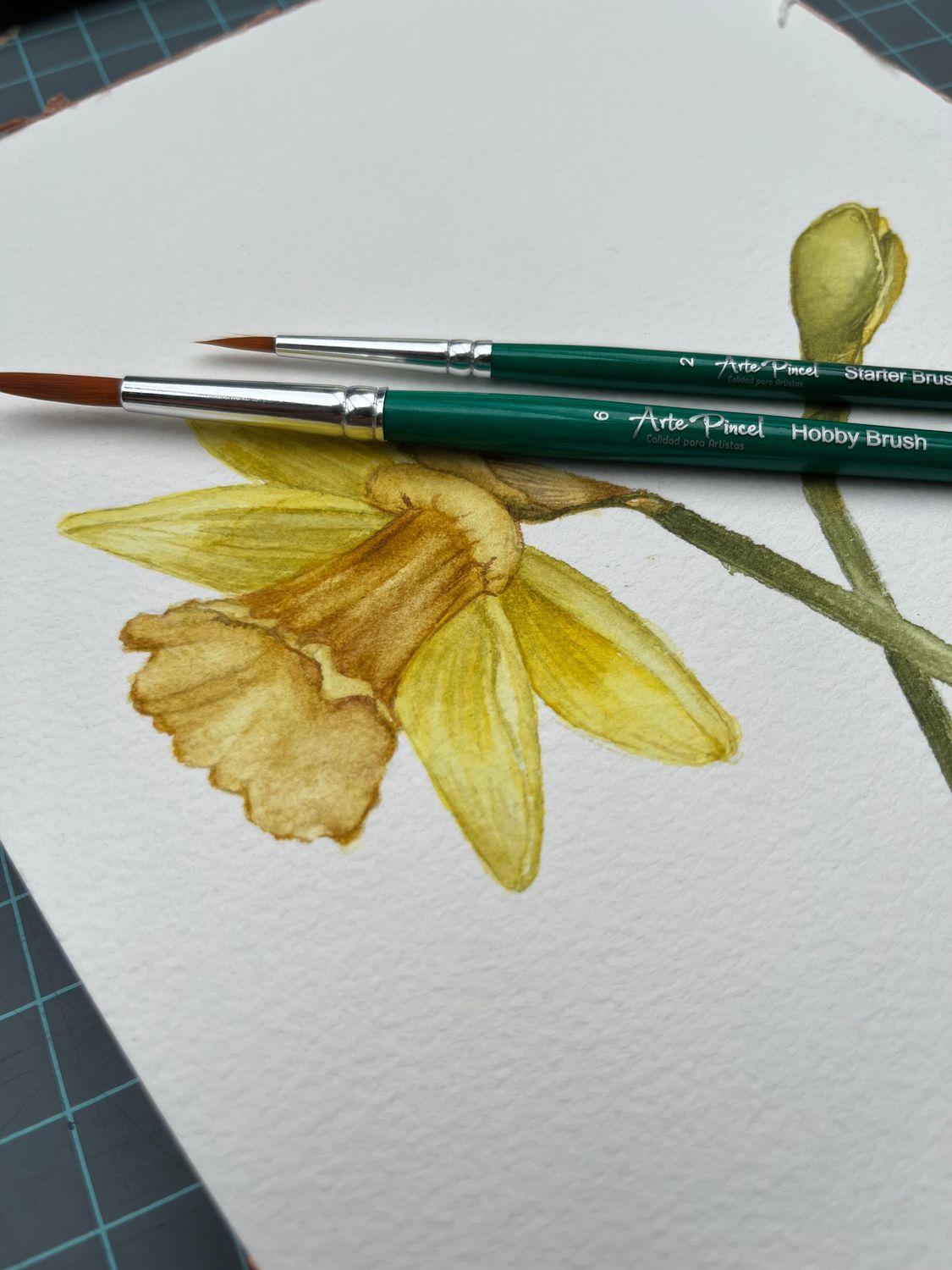 SET ROUND Daffodils #2/#4 AP-GERMANY