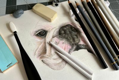 LAPIZ, CRAYON y CARBONCILLO