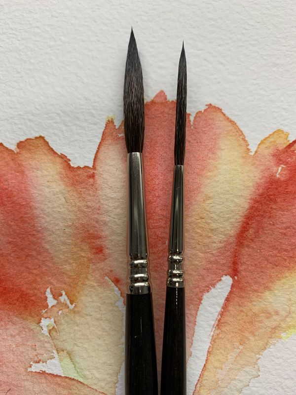 RIGGER Round Pointed Serie ULTIMO- ESCODA