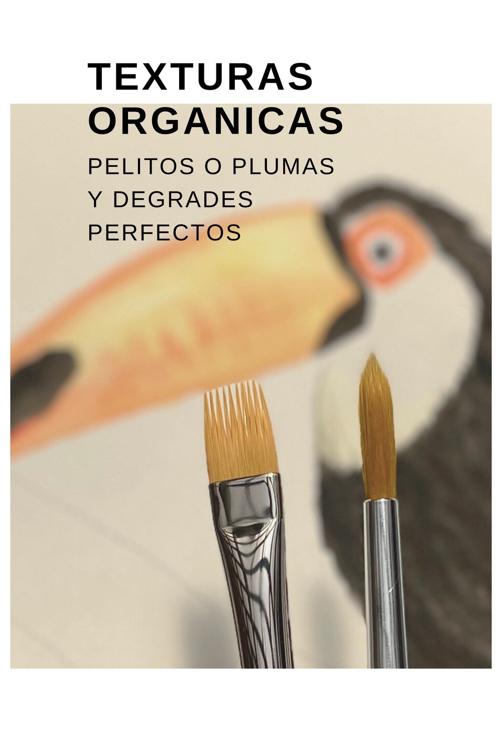 DUO Texturas Orgánicas