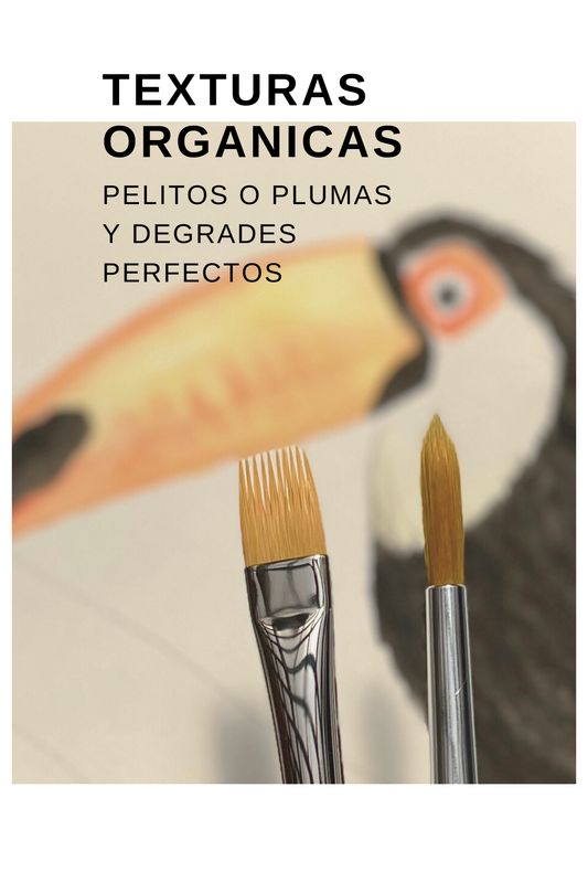 DUO Texturas Orgánicas