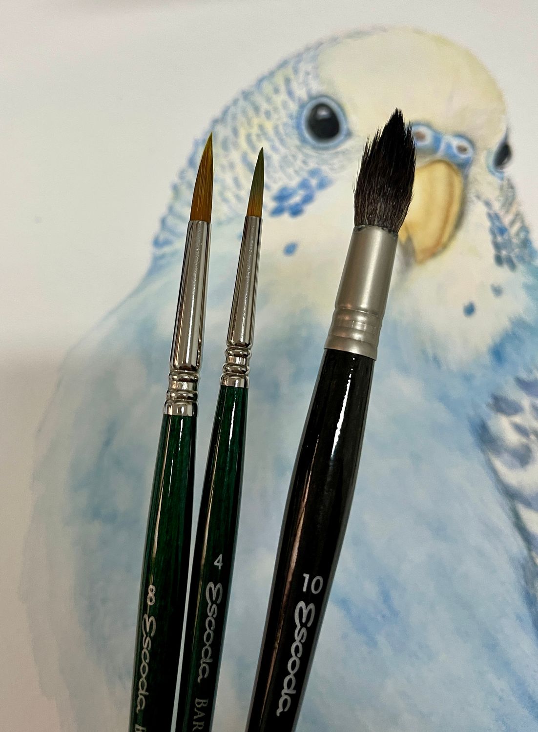 SET CONRAD ROSET - ESCODA