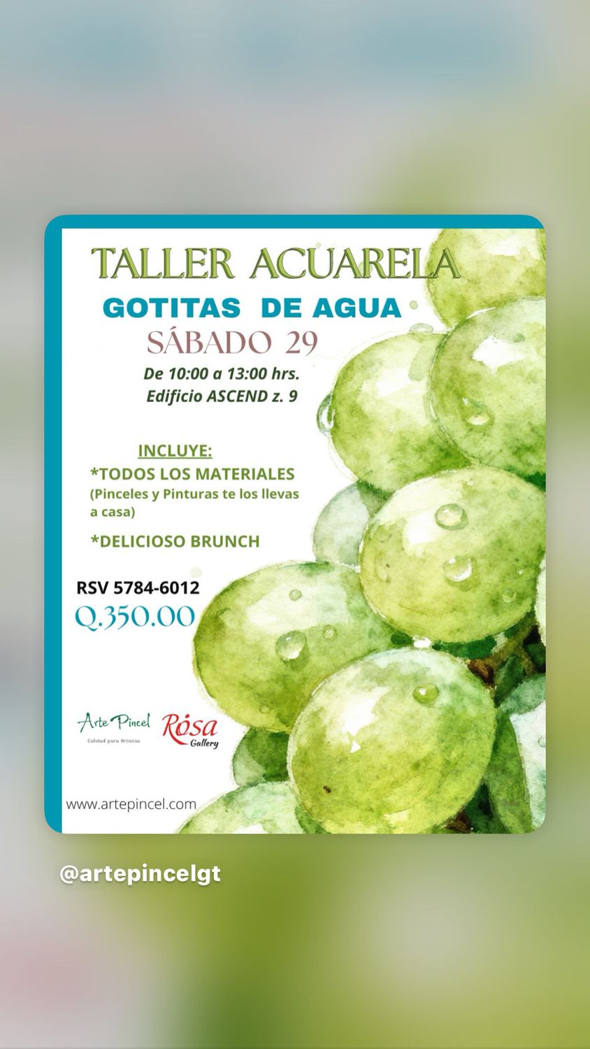 CLASE Paso a Paso TALLER