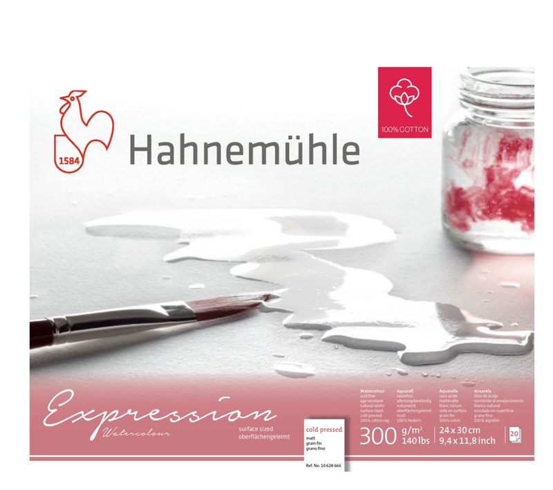 Block Hahnemuhle Expression 300 gr, 24 x 30 cms