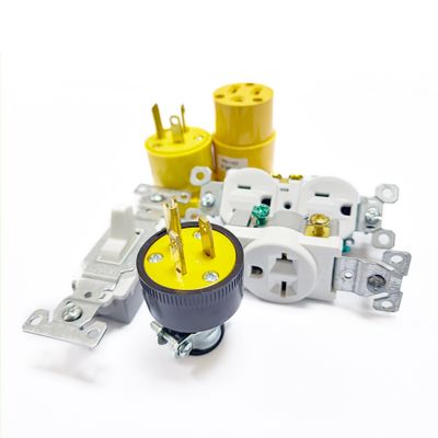 Plugs, Sockets, and Switches