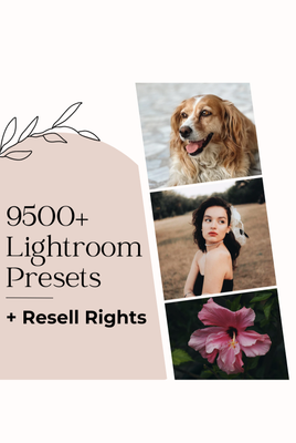9500+ Lightroom Presets