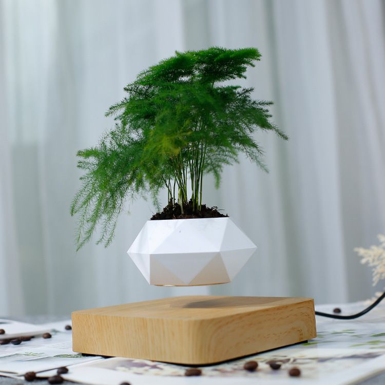 Suspended Magnetic Creative Flower Pot Magnetic Levitation Potted Plant Air Potted Plant Hanging Flower Pot Living Room Company Creative Ornaments