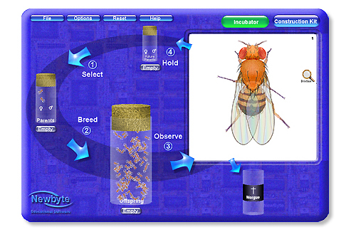 Newbyte Laboratorio de Enzimas de Drosophila