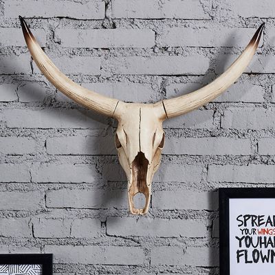 Decrative Wall Skulls