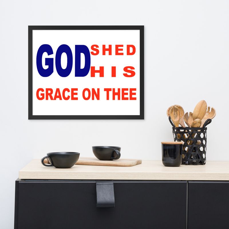 Shed Framed poster