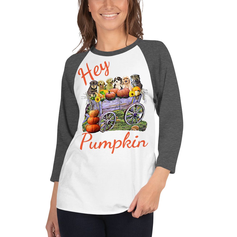 Hey Pumpkin 3/4 sleeve raglan shirt