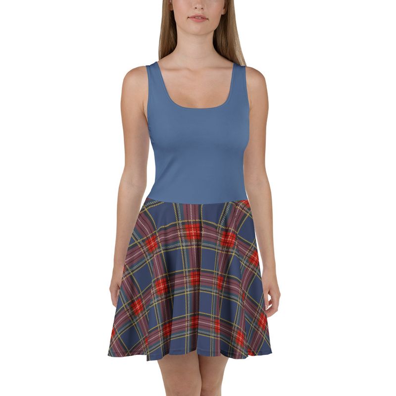 Blue and Red Plaid Skater Dress