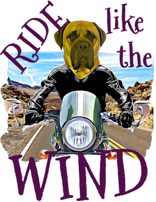 RIDE Like the WIND
