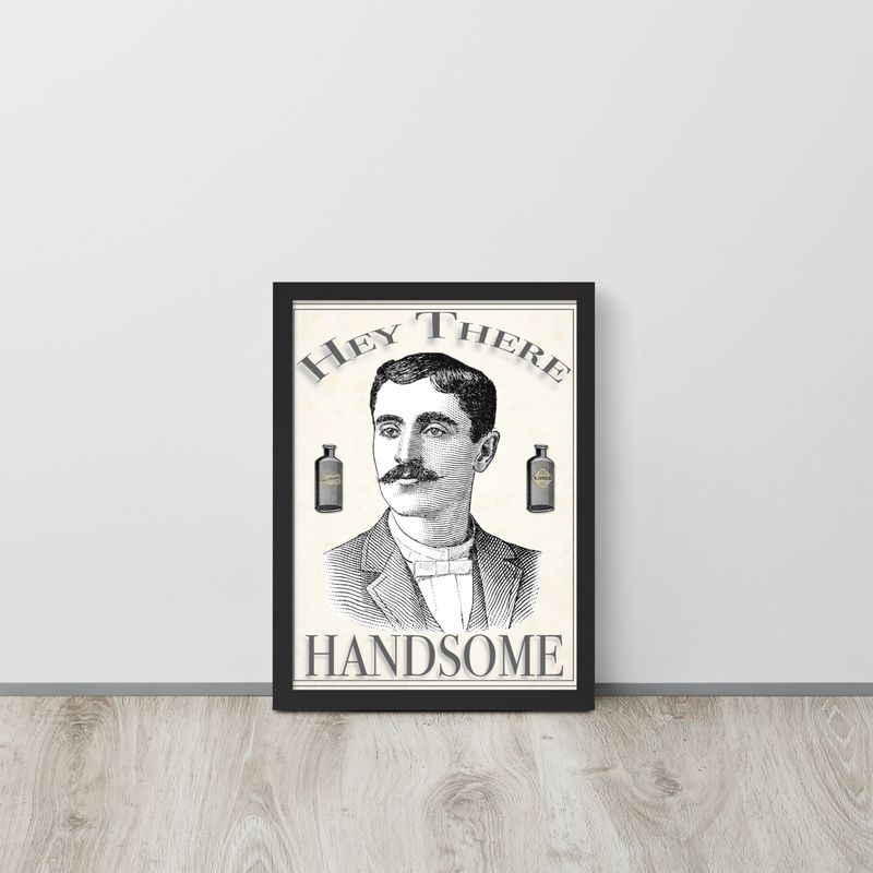 Handsome Framed poster
