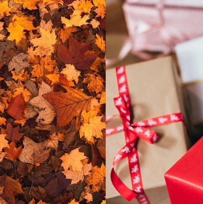 For Seasonal Supporters