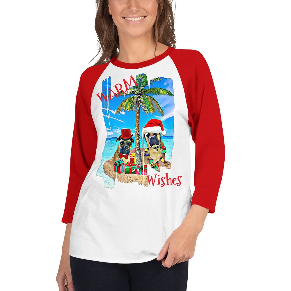 Warm Wishes 3/4 sleeve raglan shirt
