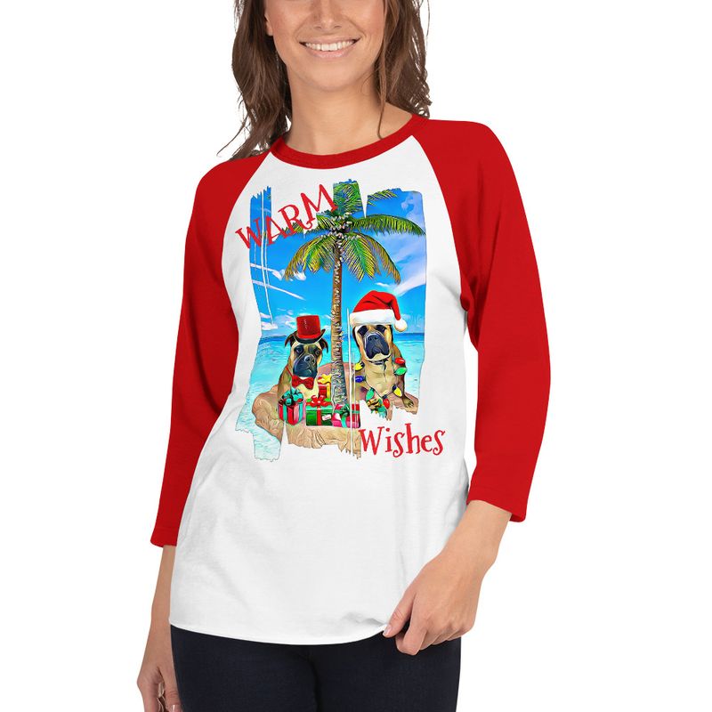 Warm Wishes 3/4 sleeve raglan shirt