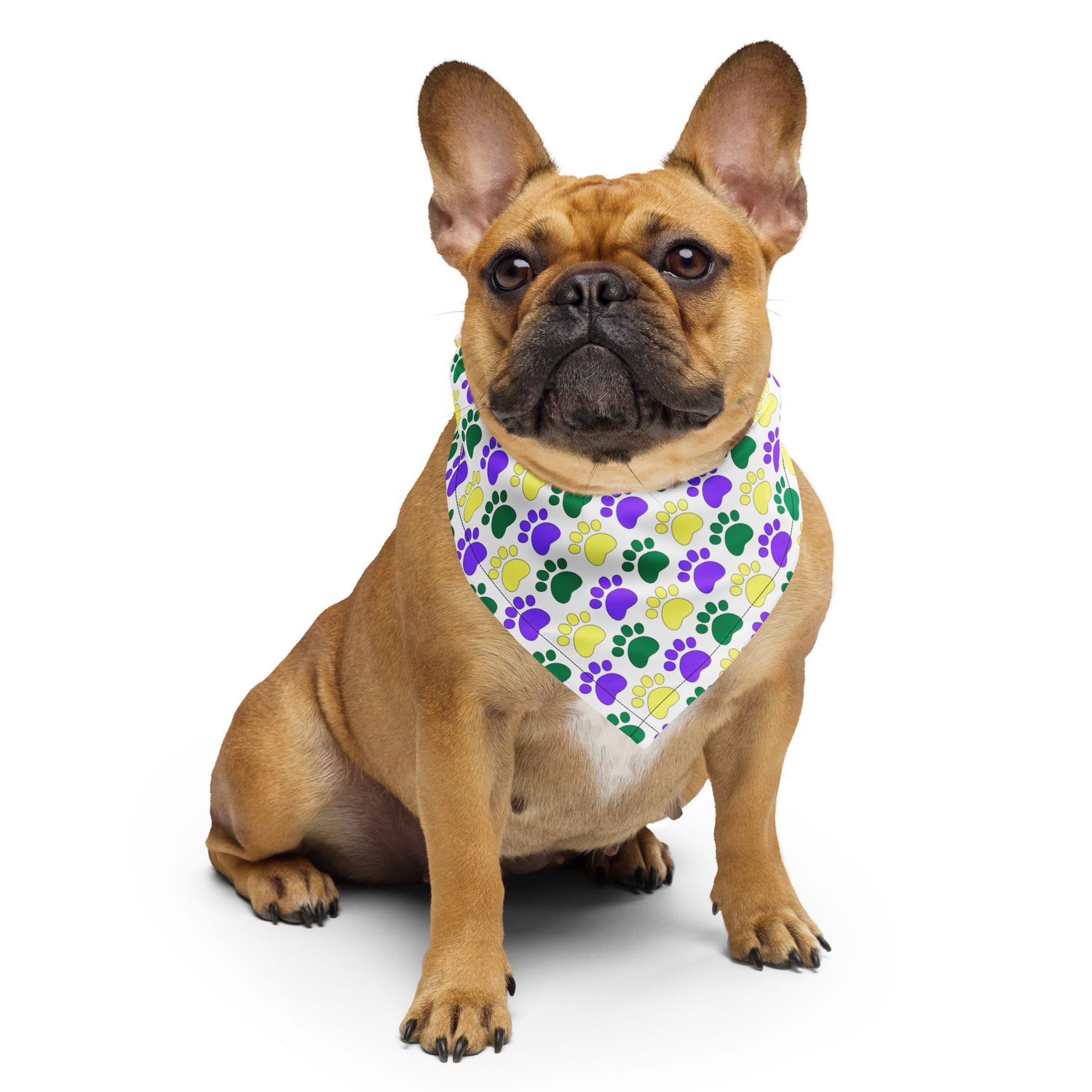 Scattered Paws bandana