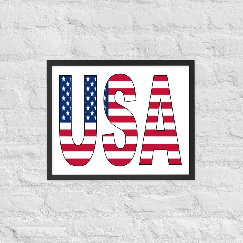 USA Flag Framed poster