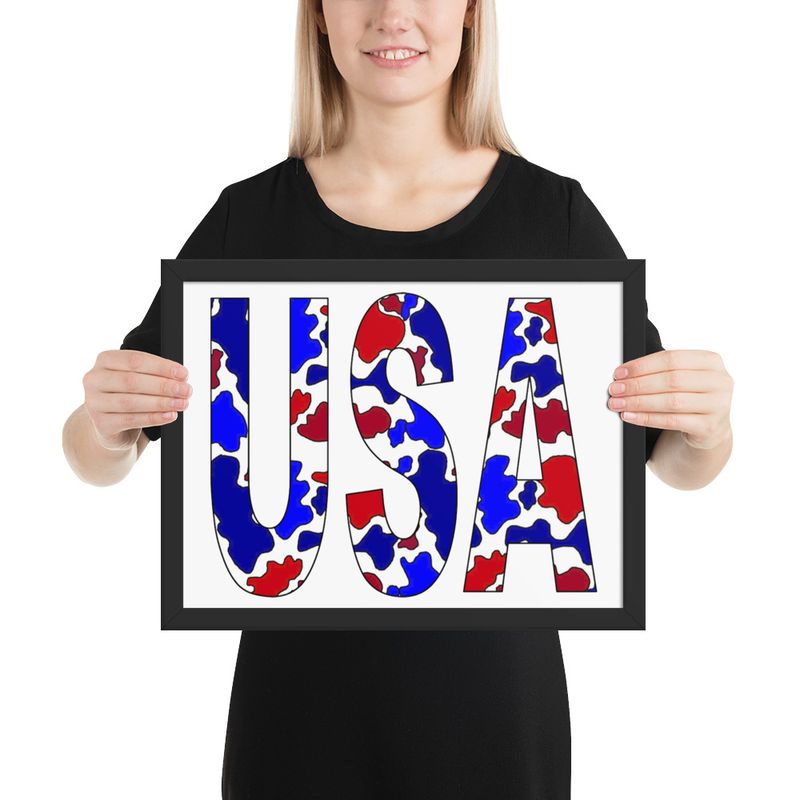 USA Camo Framed poster