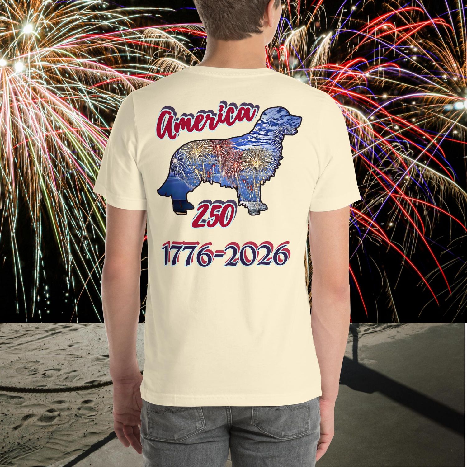 America 250 Unisex t-shirt