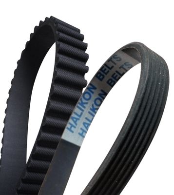 Hammas- ja moniurahihnat